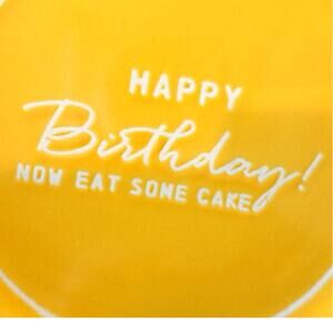 DEMDACO Happy Birthday! Now Eat Some Cake Yellow Stoneware Plate